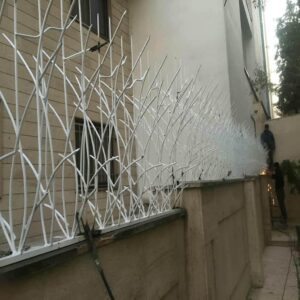 حفاظ شاخ گوزنی در فشم