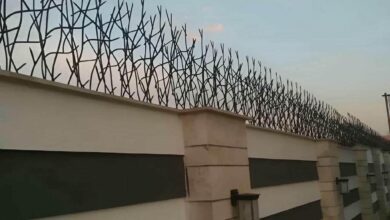 fence-wall-protection-deer-antler-spear-nz