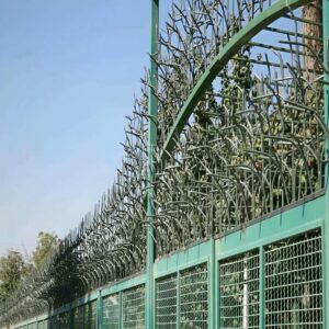 حفاظ شاخ گوزنی مهرشهر کرج