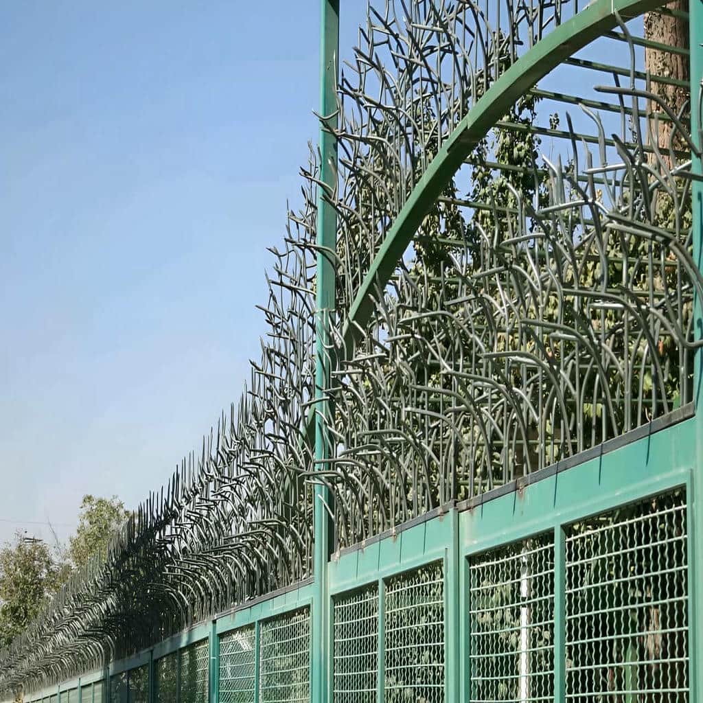 حفاظ شاخ گوزنی مهرشهر کرج
