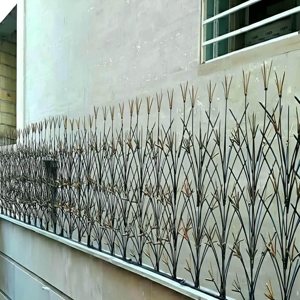حفاظ شاخ گوزنی در استان مازندران