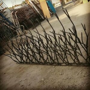 حفاظ شاخ گوزنی در کمال شهر