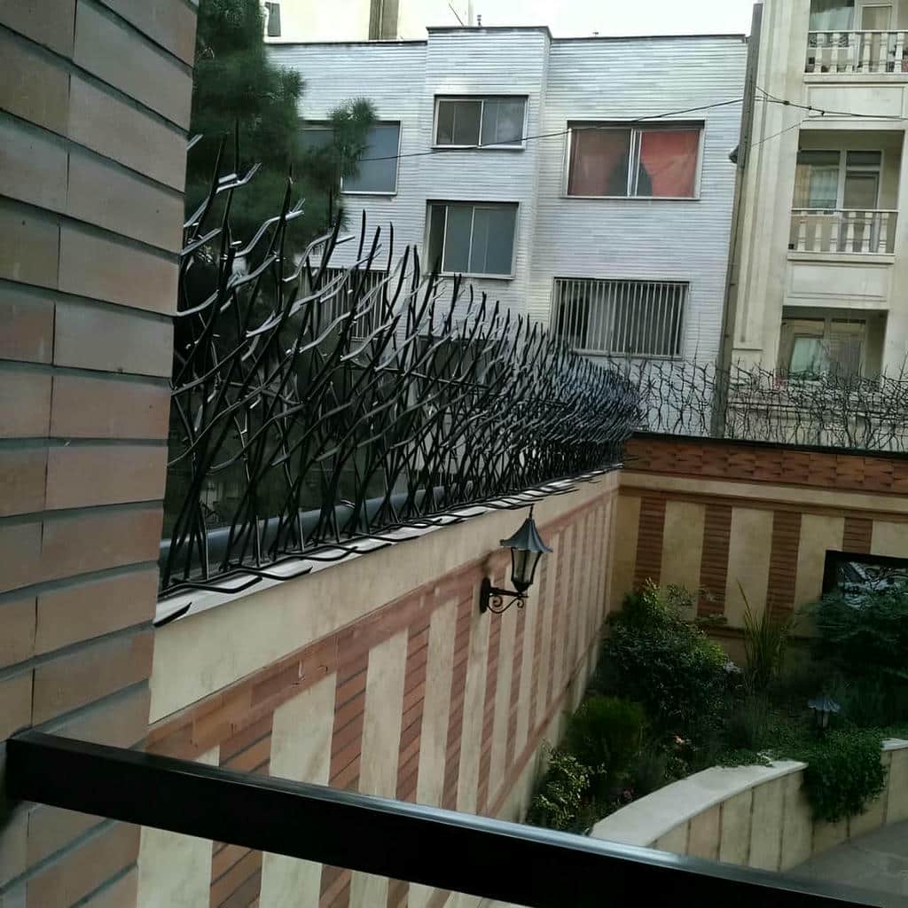 خرید حفاظ شاخ گوزنی تراکم اقتصادی در رامسر