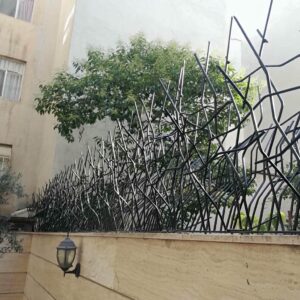 حفاظ شاخ گوزنی در شیراز