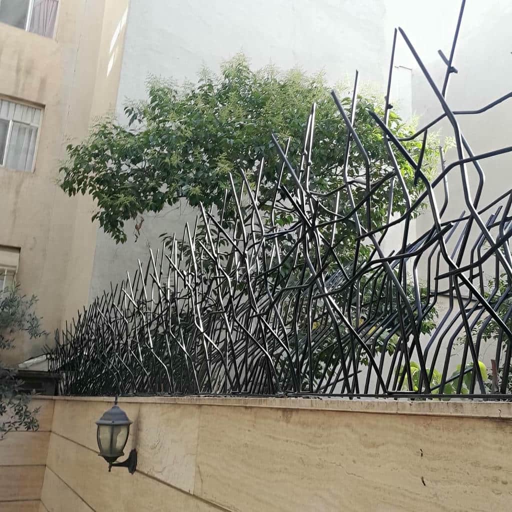 حفاظ شاخ گوزنی در شیراز