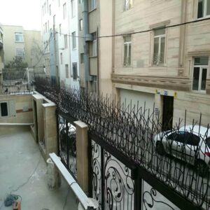 حفاظ شاخ گوزنی در آمل