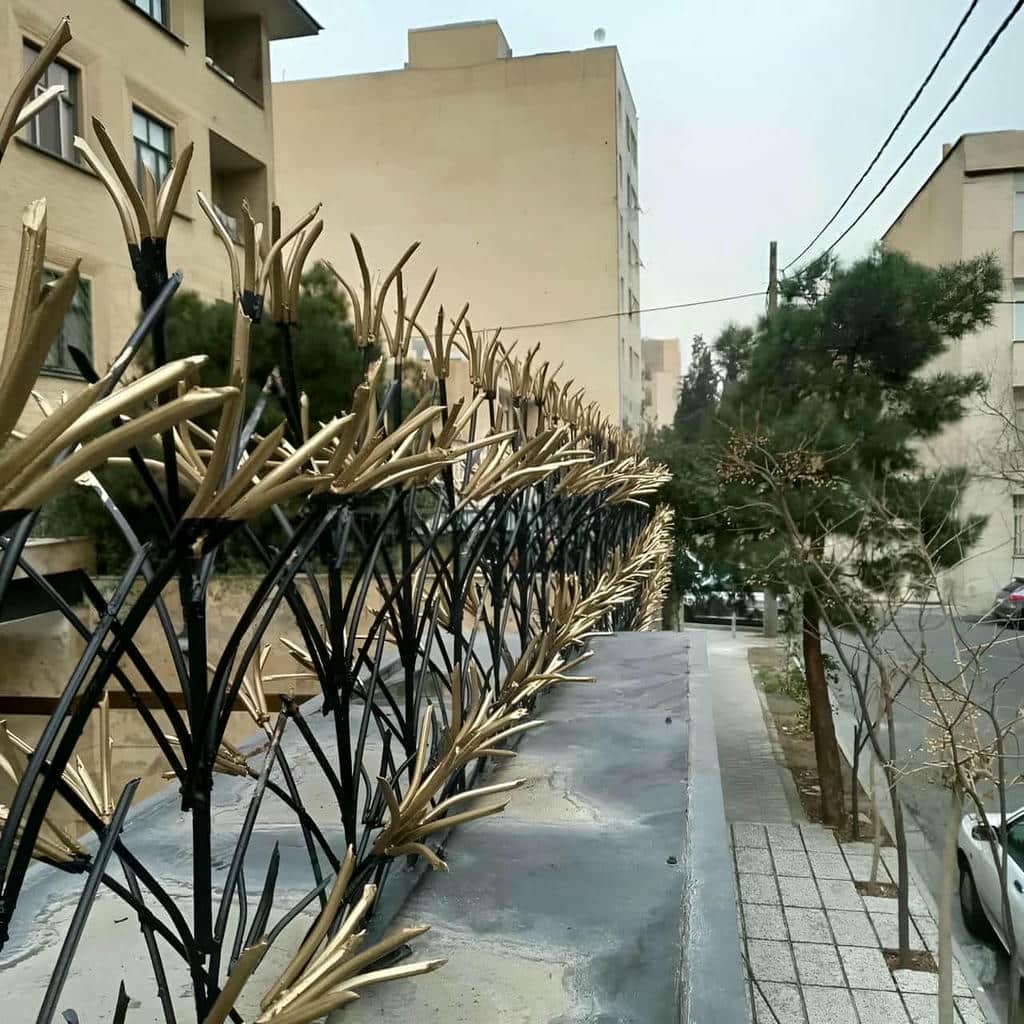 حفاظ شاخ گوزنی در بندر انزلی