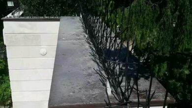 حفاظ شاخ گوزنی در یزد
