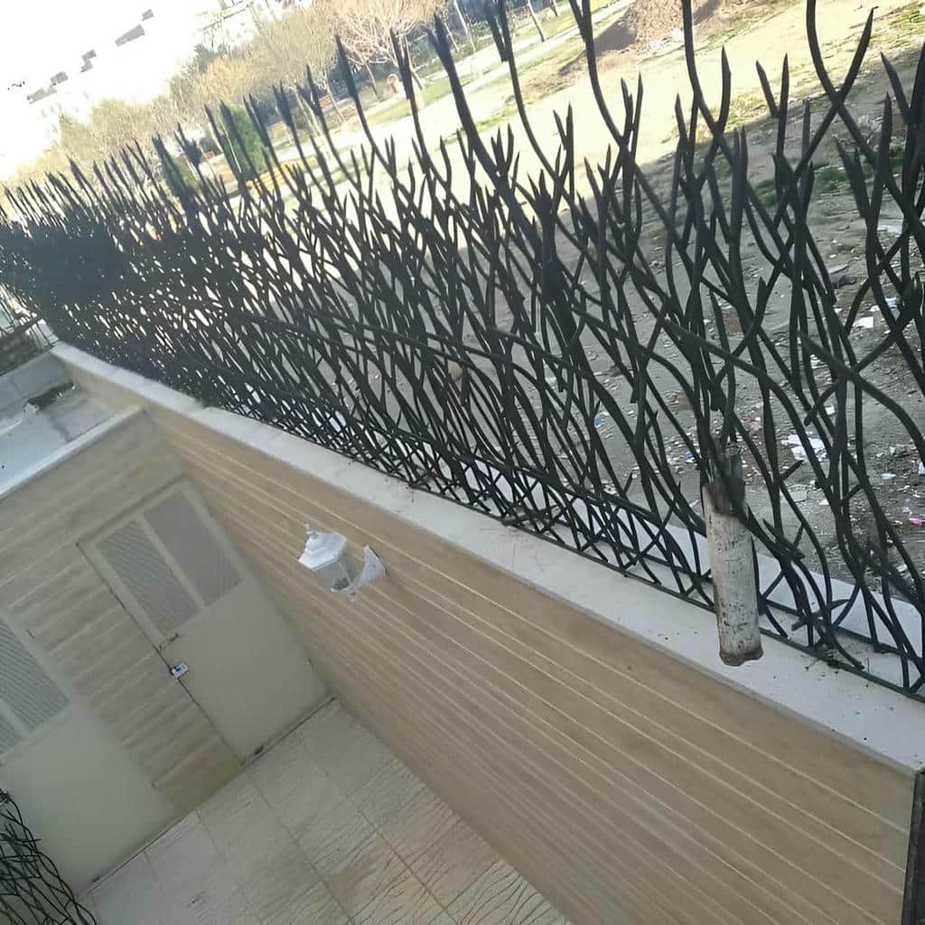 کارخانه حفاظ شاخ گوزنی ارتفاع استاندارد in اردبیل