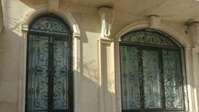 window-guard-iron-fence-wrought-iron-rb