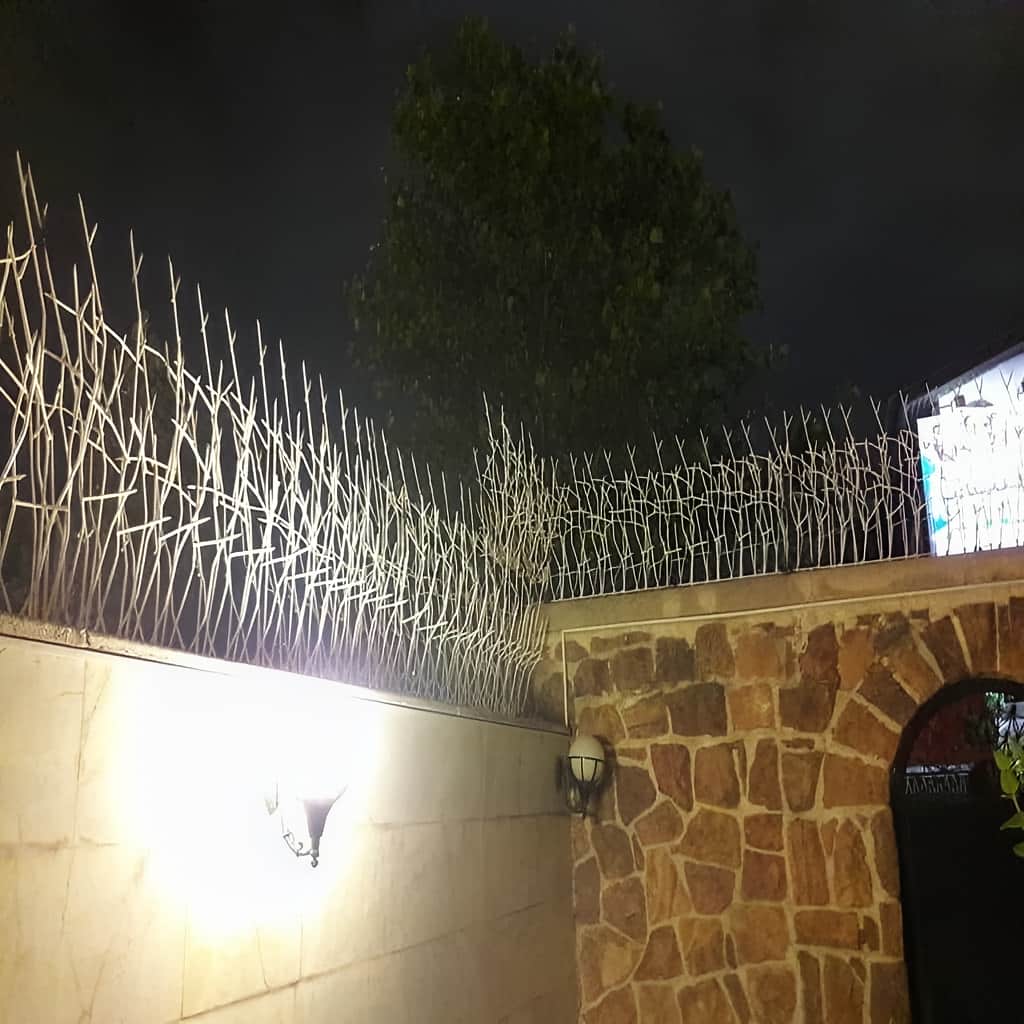 حفاظ شاخ گوزنی با نصب تراز روی دیوار باغ