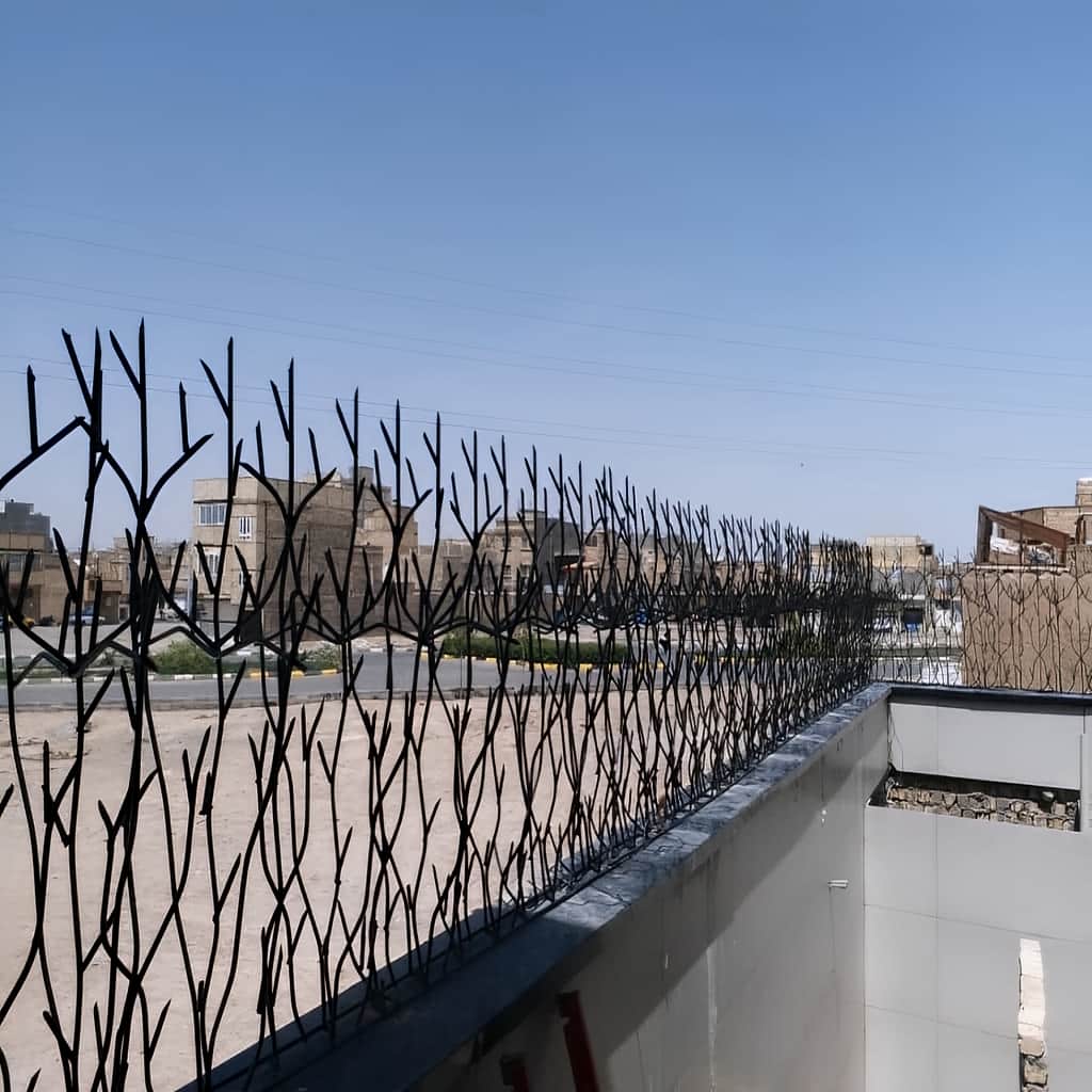 حفاظ شاخ گوزنی با رنگ مقاوم برای فضای بیرونی