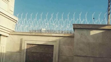 13 مدل حفاظ شاخ گوزنی دیوار باغ ویلا