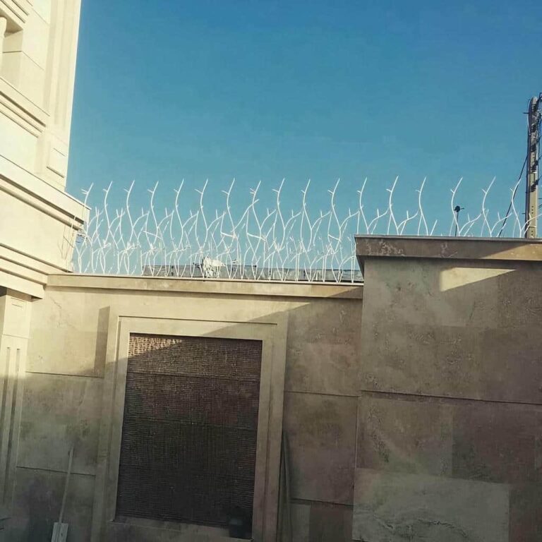 13 مدل حفاظ شاخ گوزنی دیوار باغ ویلا