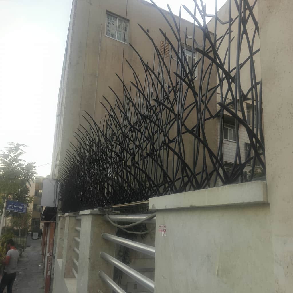 حفاظ نیزار در محوطه ساختمان جدید