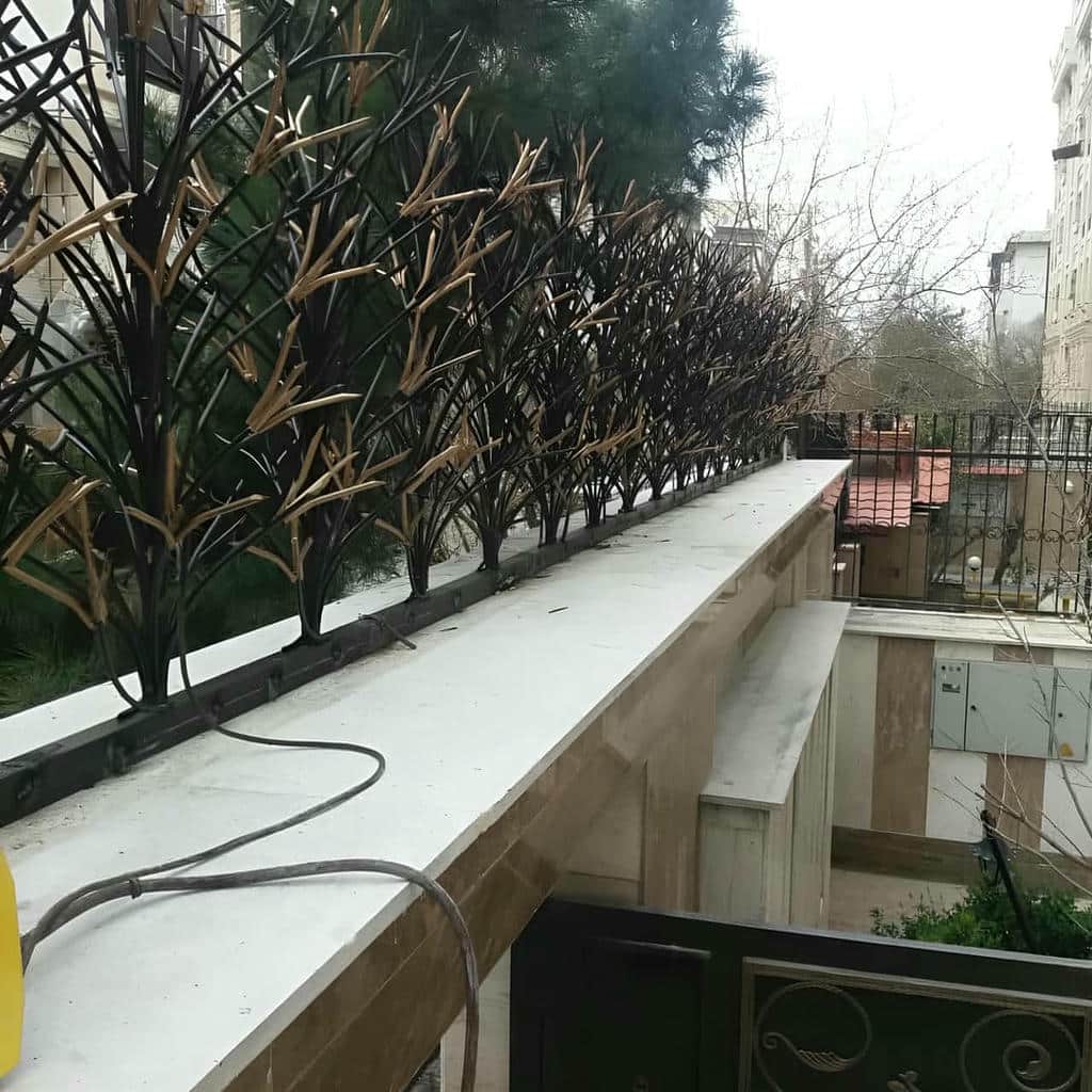حفاظ شاخ گوزنی طرح اف با شاخه های منظم حفاظ شاخ گوزنی طرح اف با شاخه های منظم