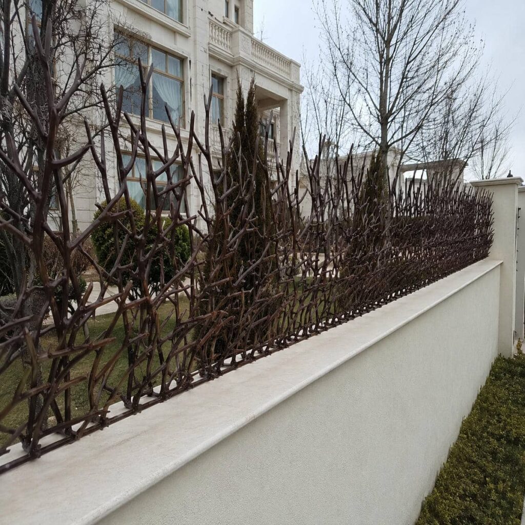 حفاظ شاخ گوزنی روی دیوار