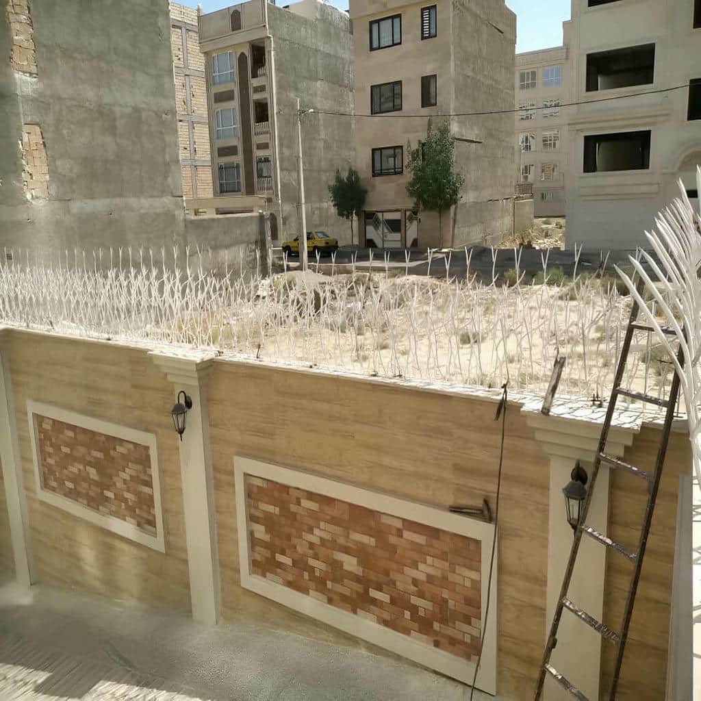 حفاظ دیوار با شاخه های متراکم اطراف باغچه