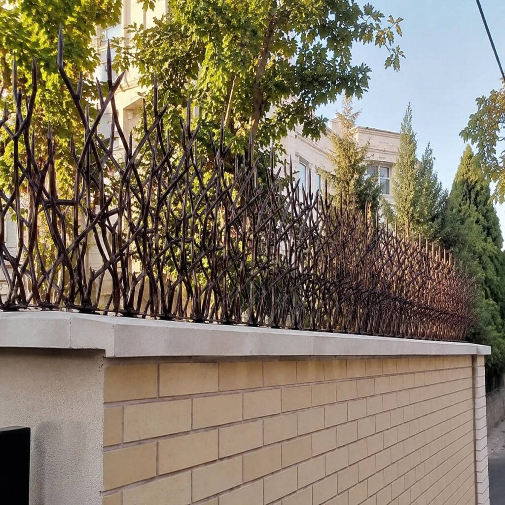 حفاظ شاخ گوزنی متراکم بالای حصار باغ