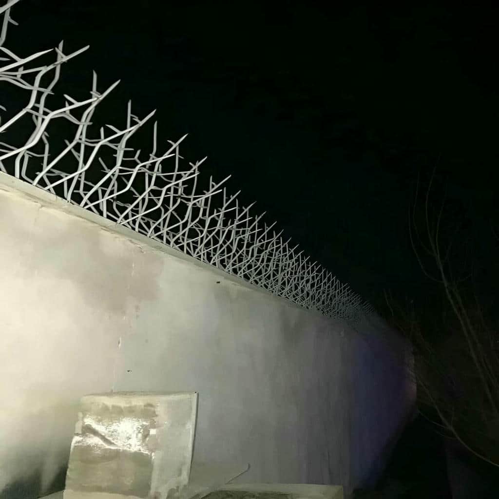گارد آهنی مشکی کنار دروازه ورودی ساختمان