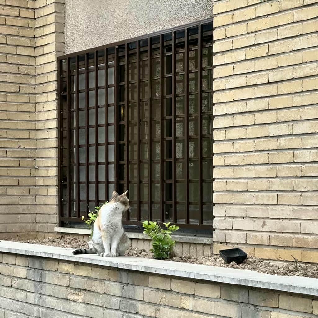 گارد ثابت با خطوط عمودی و قاب ساده سفید