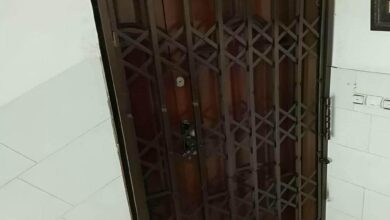حفاظ درب آکاردئونی طوسی پشت ورودی آپارتمان استان البرز