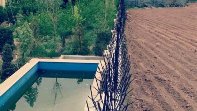 حفاظ دیوار شاخ گوزنی مشکی بالای خانه بیرجند