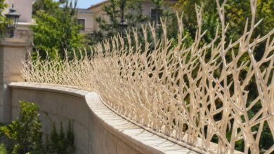 حفاظ دیوار شاخ گوزنی مشکی روی حصار استان خراسان شمالی