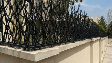 حفاظ دیوار شاخ گوزنی مشکی کنار حیاط استان سمنان