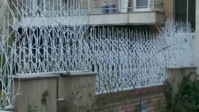 حفاظ دیوار شاخ گوزنی مشکی کنار دروازه استان خراسان جنوبی