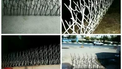 حفاظ دیوار شاخ گوزنی مشکی کنار ورودی خانه زاهدان