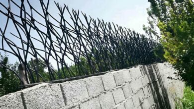 حفاظ دیوار شاخ گوزنی مشکی کنار ورودی زنجان